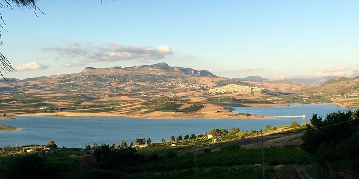 cantina-cellaro-vendemmia-vino-e-vitigni-sambuca-di-sicilia