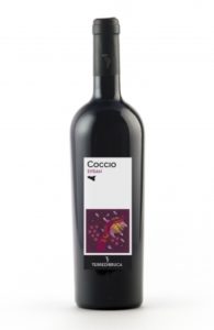 Coccio Syrah Terre di Bruca IGT