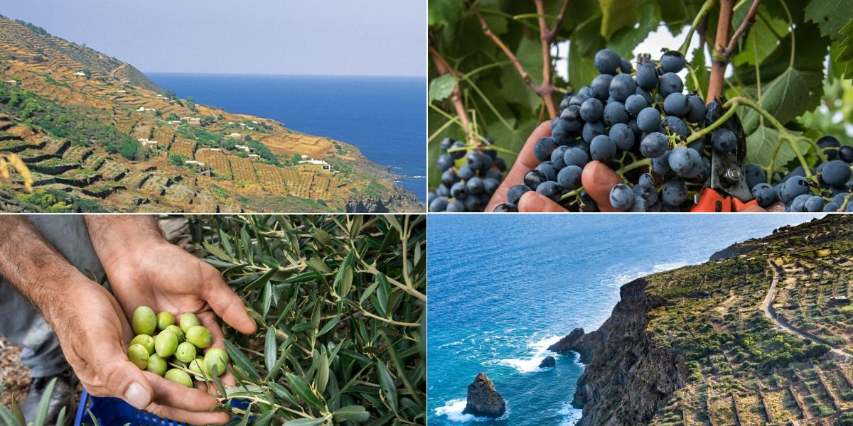 donnafugata-contessa-pantelleria-etna-vittoria-marsala