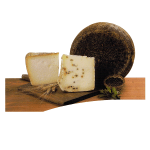 Pecorino Nero