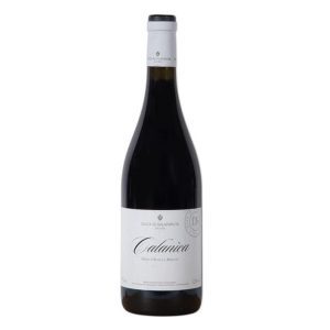 Calanìca Nero d-Avola e Merlot Duca di Salaparuta