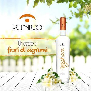 Zahare-Liquore-hai-Frutti-di-Agrumi-Punico