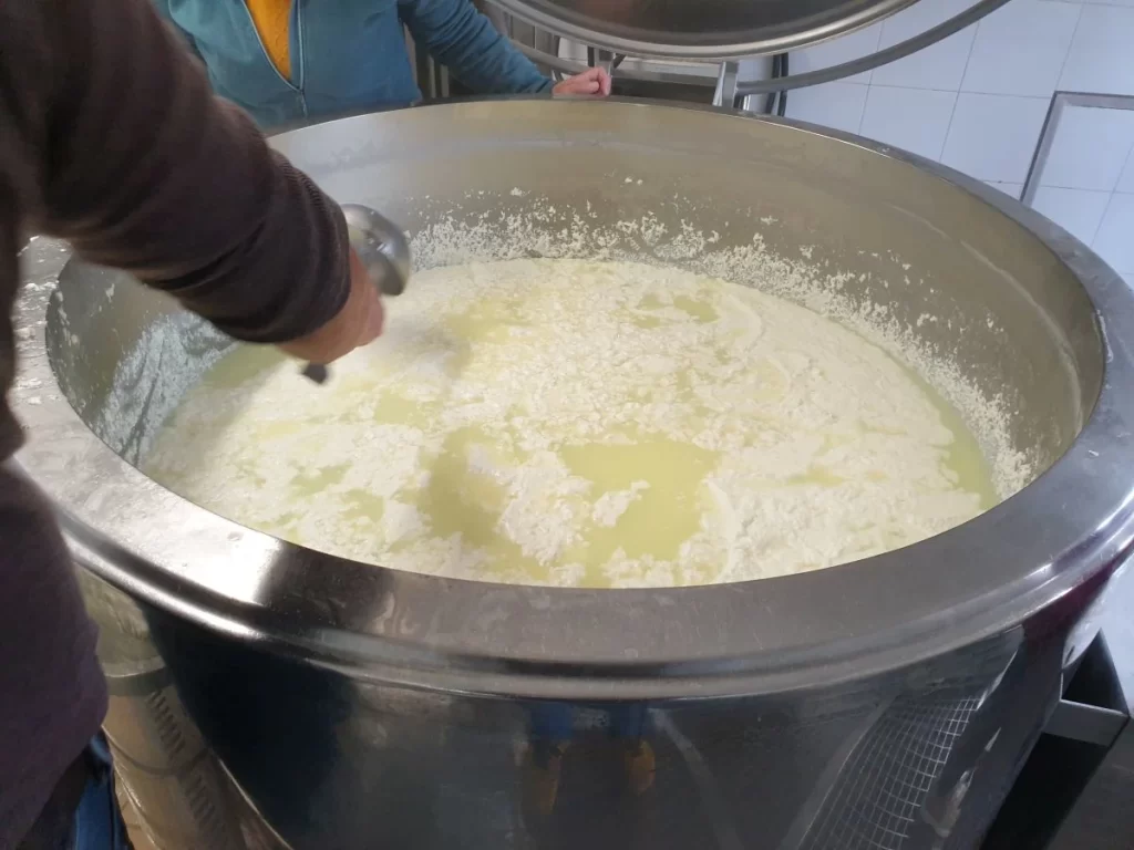 Caseificio Palermo Sicilia Preparazione della Ricotta