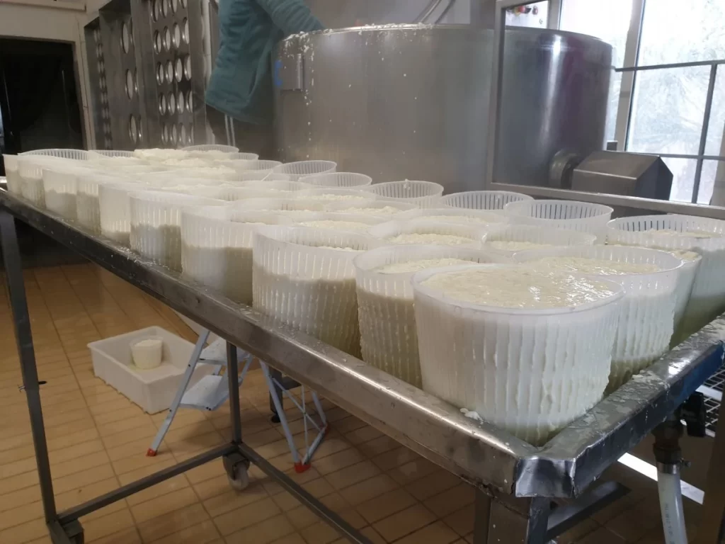 Caseificio Palermo Sicilia Ricotta Calda