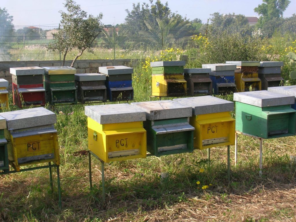miele-polara-sicilia-tipici-iblei