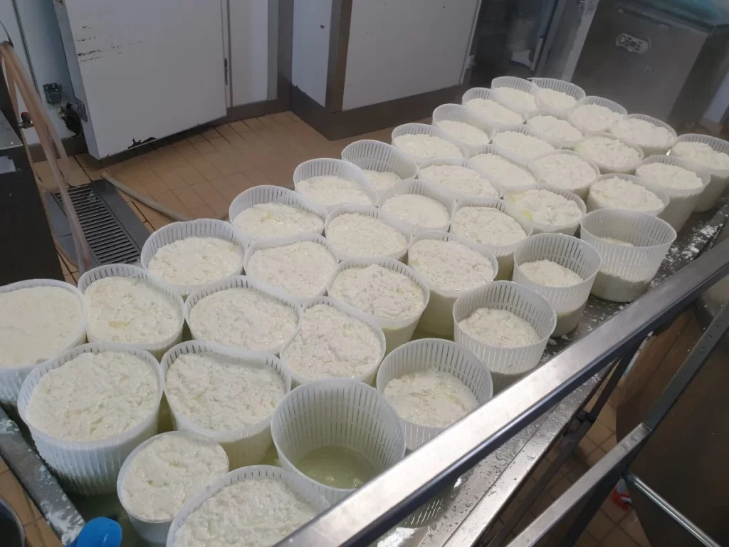 Caseificio Palermo Sicilia Cavagne-Ricotta-Fresca