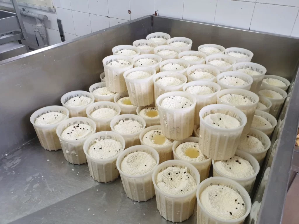 Caseificio Palermo Sicilia Cavagne di Ricotta