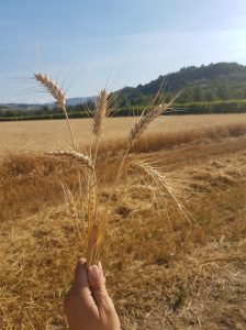 UNA NATURA GLUTEN FREE