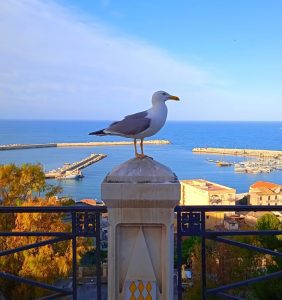 Sciacca e la Sicilia, una terra di sapori.