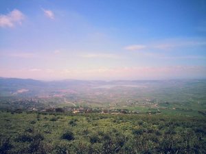 Valle del Belìce Sicilia viaggio enogastronomico di gusti e sapori