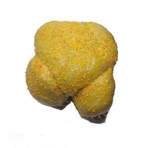 Colomba-di-pasqua-artigianale-al-mandarino