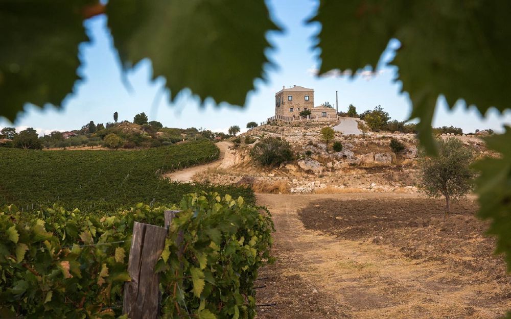 vini-e-vigneti-tenute-lombardo-sicilia