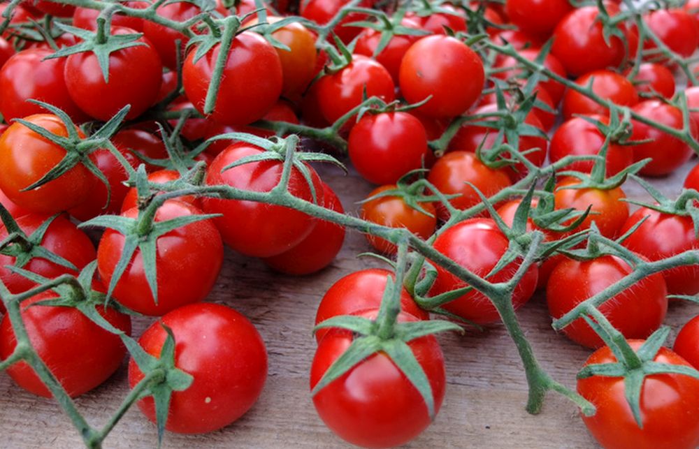 Azienda Agricola Giuseppe Rosso Conserve di Sicilia